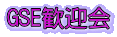 GSE���}��